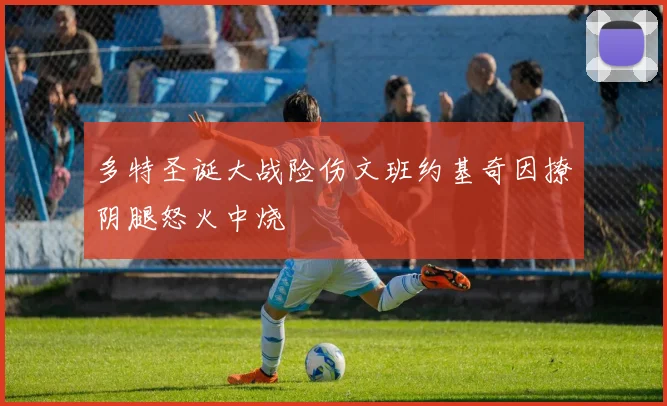 多特圣诞大战险伤文班约基奇因撩阴腿怒火中烧